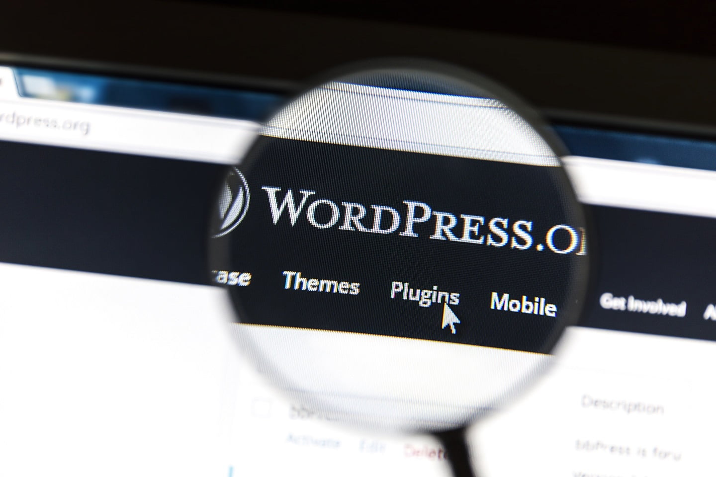 wordpress vtičniki