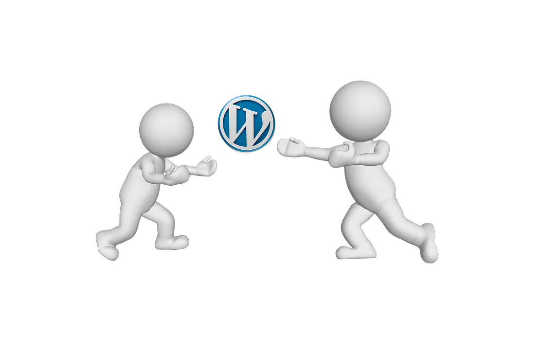 WORDPRESS optimizacija