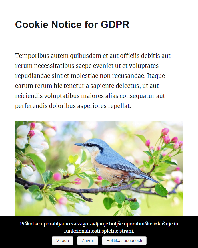 Obvestilo o piškotkih (GDPR)