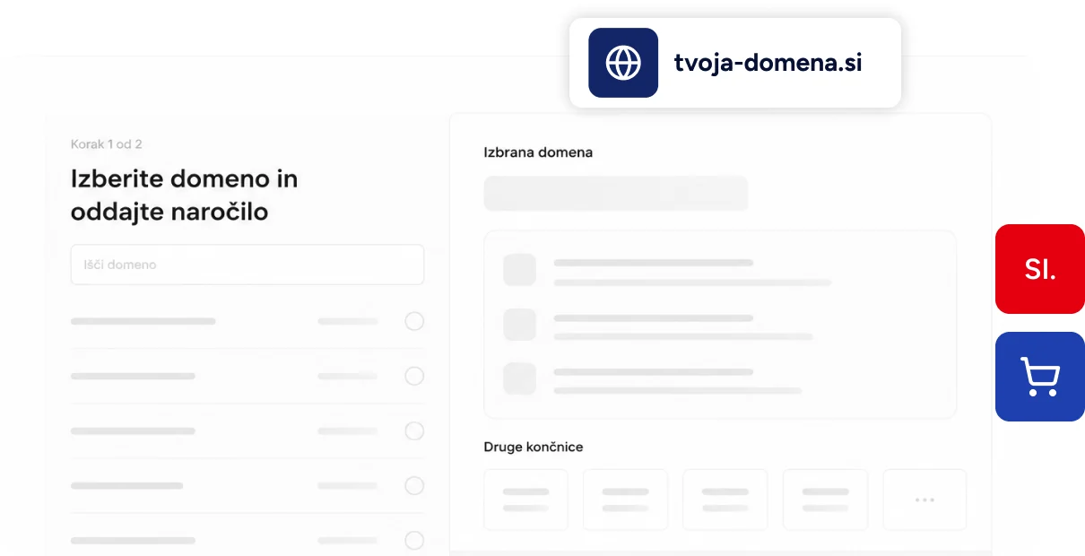Izbira domene in oddaja naročila za spletno trgovino